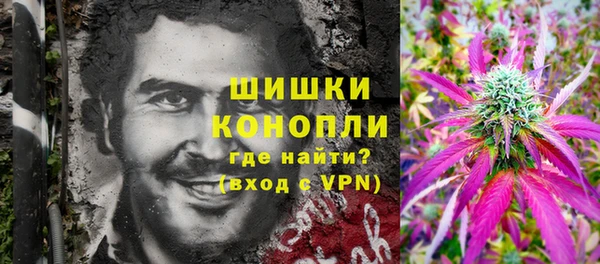 молекула духа Заводоуковск