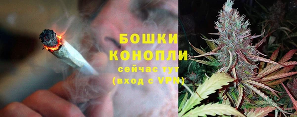 молекула духа Заводоуковск