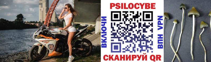 Галлюциногенные грибы мухоморы  Купить где  Усть-Джегута 