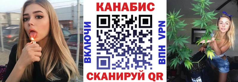 Купить  Усть-Джегута  Каннабис сатива 